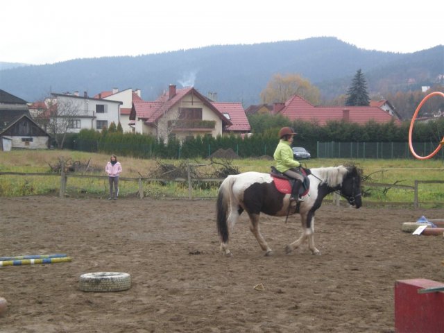 Hubertus 2010